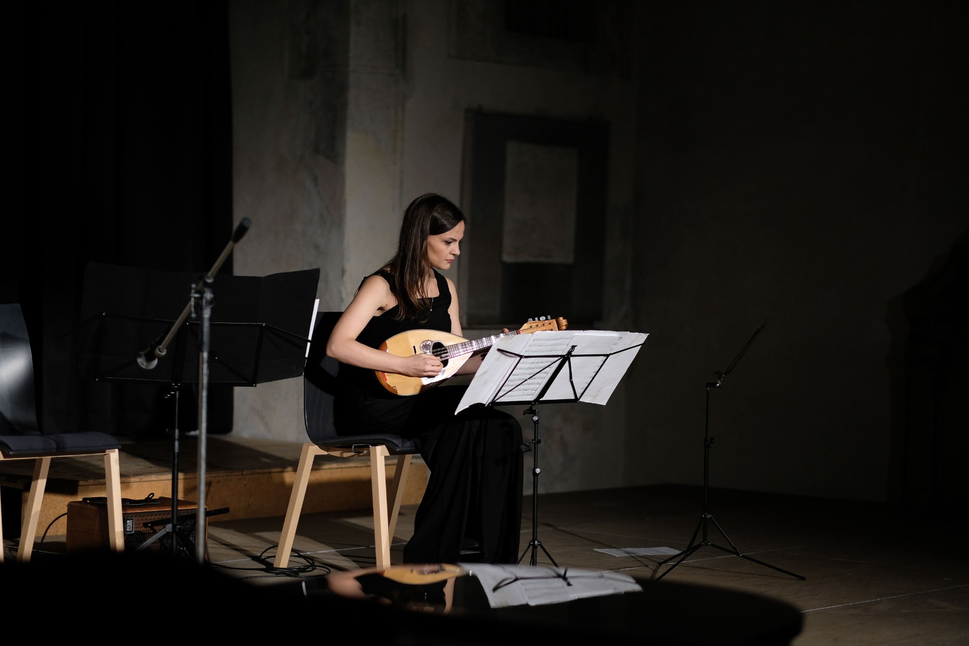 International Gitarrentage - Veihingen Enz, Germania